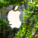 Illustration for article titled Apple Cuts App Store Fees in Half for Small Developers as Monopoly Concerns Loom